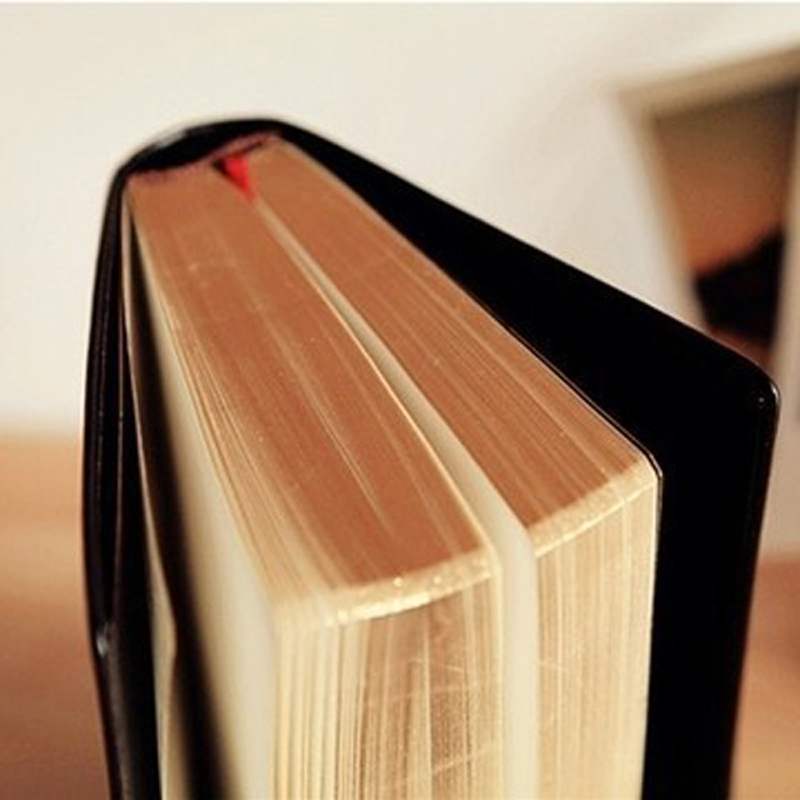Vintage Thick Leather Bible No - Leather Work Diary ulasan dan harga